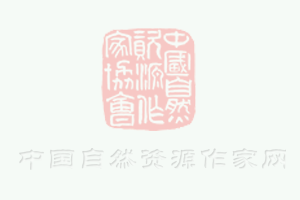 吸盤材質(zhì):哪種真空吸盤的材質(zhì)比較不錯